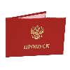Платный проход